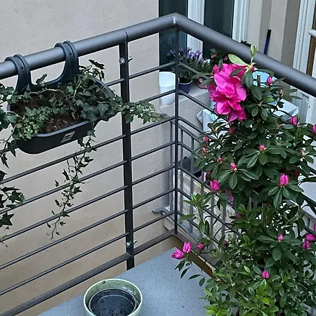 Il Genio - Residenza D'epoca * Pisa